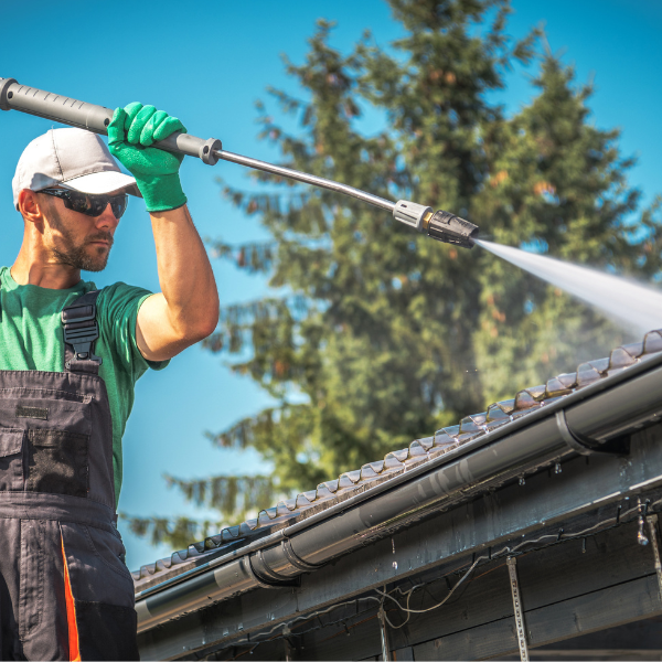 roof cleaning